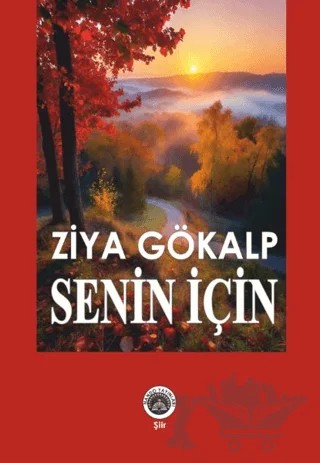 Senin İçin – Ziya Gökalp – Nando Yayınları kitap kapağı