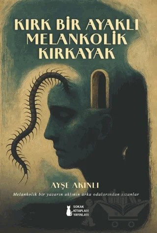 Kırk Bir Ayaklı Melankolik Kırkayak – Ayşe Akınlı – Sokak Kitapları Yayınları kitap kapağı
