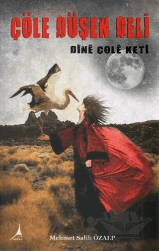 Çöle Düşen Deli - Dine Çole Keti – Mehmet Salih Özalp – Alter Yayıncılık kitap kapağı