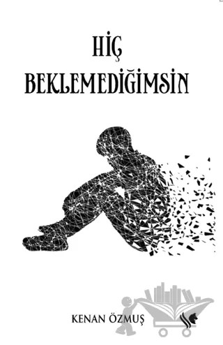Hiç Beklemediğimsin – Kenan Özmuş – S.S International Publishing kitap kapağı