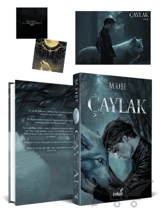 Çaylak – M. Rise – İndigo Kitap kitap kapağı