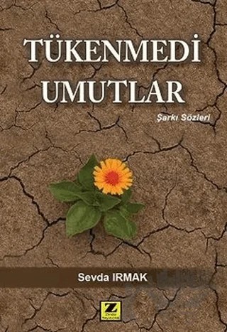 Tükenmedi Umutlar – Sevda Irmak – Zinde Yayıncılık kitap kapağı