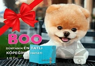 Boo – J. H. Lee – Yakamoz Yayınevi kitap kapağı