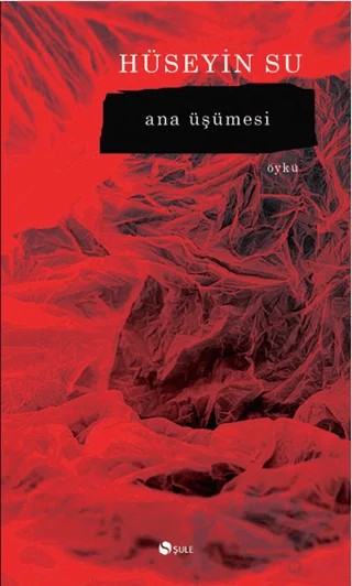 Ana Üşümesi – Hüseyin Su – Şule Yayınları kitap kapağı