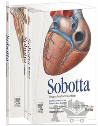 Sobotta İnsan Anatomisi Atlası (3 Cilt Takım) – F. Paulsen, J. Waschke – Beta Yayınevi kitap kapağı