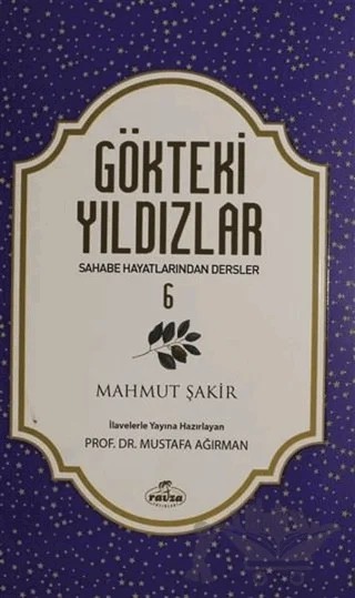Gökteki Yıldızlar - 6 – Mahmut Şakir – Ravza Yayınları kitap kapağı