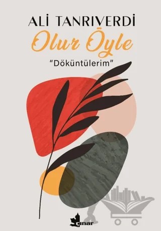 Olur Öyle – Ali Tanrıverdi – Çınar Yayınları kitap kapağı