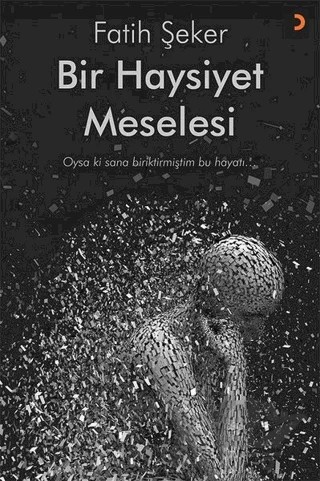 Bir Haysiyet Meselesi – Fatih Şeker – Cinius Yayınları kitap kapağı