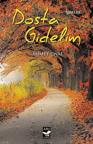 Dosta Gidelim – Ahmet Ünal – Arı Sanat Yayınevi kitap kapağı