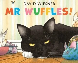 Mr Wuffles! – David Wiesner – Andersen Press kitap kapağı