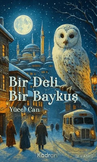 Bir Deli Bir Baykuş – Yücel Can – Kadran Medya Yayıncılık kitap kapağı