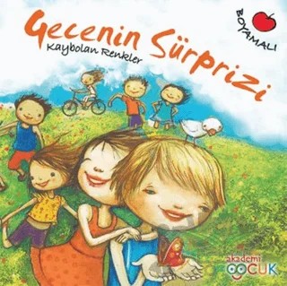 Kaybolan Renkler - Gecenin Sürprizi – Hilal Üsküdar Gürbüz – Akademi Çocuk kitap kapağı