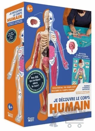 İnsan Vücudunu Keşfediyorum Poster -Model ve Kitap – Kolektif – Auzou Toys kitap kapağı