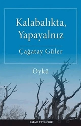 Kalabalıkta, Yapayalnız – Çağatay Güler – Palme Yayıncılık kitap kapağı