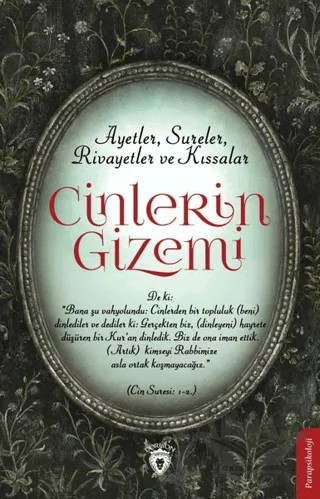 Cinlerin Gizemi – Aydın Şimşek – Dorlion Yayınları kitap kapağı