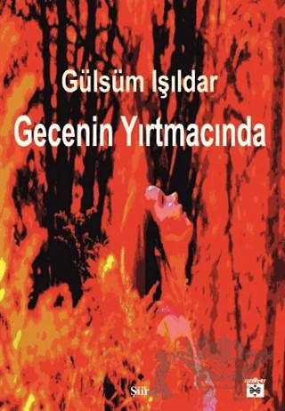 Gecenin Yırtmacında – Gülsüm Işıldar – Neziher Yayınları kitap kapağı