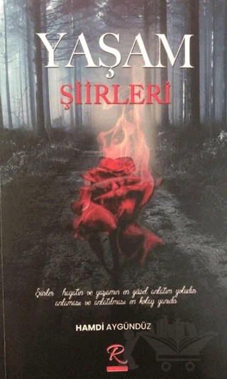 Yaşam Şiirleri – Hamdi Aygündüz – Rüzgar Eren Yayıncılık kitap kapağı