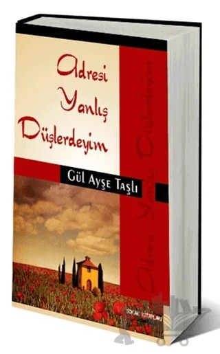 Adresi Yanlış Düşlerdeyim – Gül Ayşe Taşlı – Sokak Kitapları Yayınları kitap kapağı