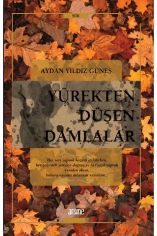 Yürekten Düşen Damlalar – Aydan Yıldız Güneş – Arsine Yayıncılık kitap kapağı