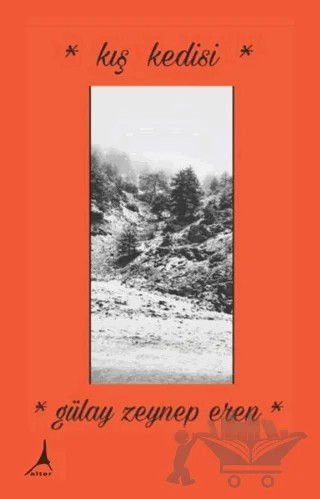 Kış Kedisi – Gülay Zeynep Eren – Alter Yayıncılık kitap kapağı