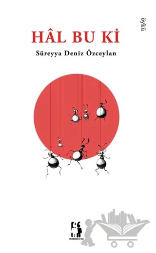 Hâl Bu Ki – Süreyya Deniz Özceylan – Metinlerarası Kitap kitap kapağı