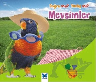 Doğru mu? Yanlış mı?: Mevsimler – Daniel Nunn – Mavi Kelebek Yayınları kitap kapağı