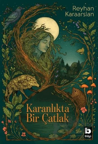 Karanlıkta Bir Çatlak – Reyhan Karaarslan – Bilgi Yayınevi kitap kapağı