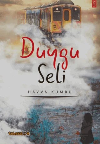 Duygu Seli – Havva Kumru – Tebessüm Yayınları kitap kapağı