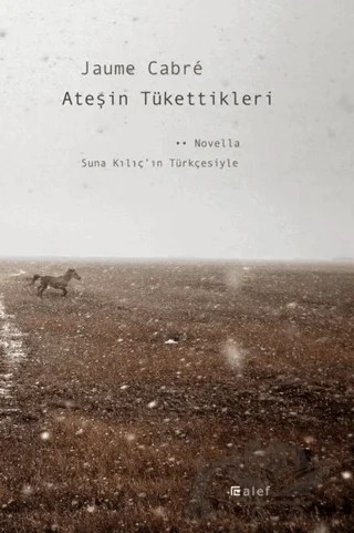 Ateşin Tükettikleri – Jaume Cabre – Alef Yayınevi kitap kapağı