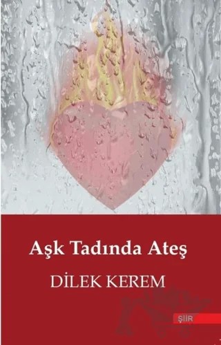 Aşk Tadında Ateş – Dilek Kerem – Zinde Yayıncılık kitap kapağı