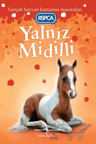 Yalnız Midilli – Sarah Hawkins – İş Bankası Kültür Yayınları kitap kapağı