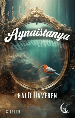 Aynaistanya – Halil Ünveren – Ayperi Yayınları kitap kapağı
