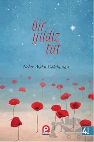 Bir Yıldız Tut – Nehir Aydın Gökduman – Pınar Yayınları kitap kapağı