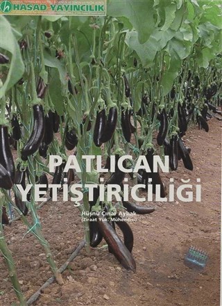 Patlıcan Yetiştiriciliği – Hüsnü Çınar Aybak – Hasad Yayıncılık kitap kapağı