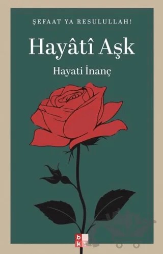 Hayati Aşk – Hayati İnanç – Babıali Kültür Yayıncılığı kitap kapağı