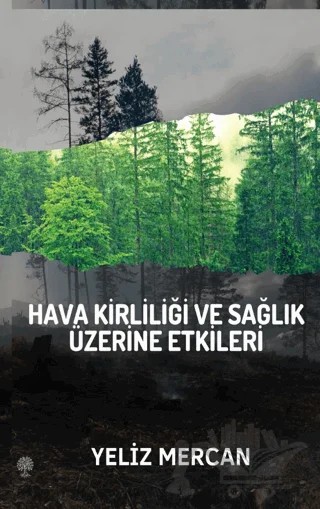 Hava Kirliliği ve Sağlık Üzerine Etkileri – Yeliz Mercan – Platanus Publishing kitap kapağı