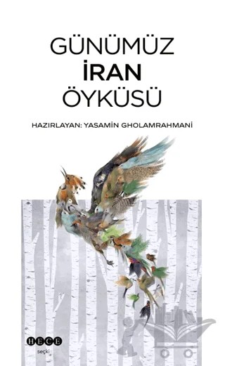 Günümüz İran Öyküsü – Kolektif – Hece Yayınları kitap kapağı