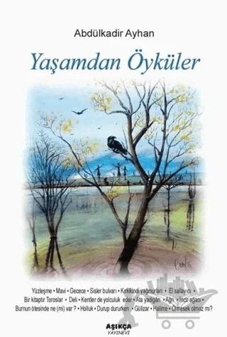 Yaşamdan Öyküler – Abdülkadir Ayhan – Aşıkça Yayınevi kitap kapağı