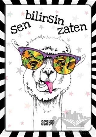 Havalı Panda Defter - Çılgın Defterler – Kolektif – Acayip Kitaplar kitap kapağı