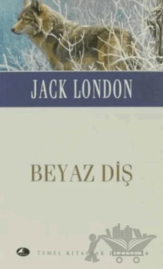 Beyaz Diş (Cep Boy) – Jack London – Şule Yayınları kitap kapağı