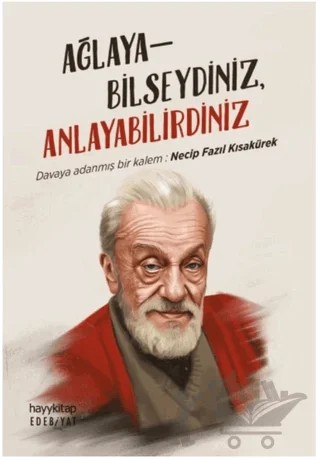 Ağlayabilseydiniz, Anlayabilirdiniz – Kolektif – Hayykitap kitap kapağı