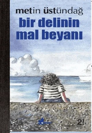 Bir Delinin Mal Beyanı – Metin Üstündağ – Çınar Yayınları kitap kapağı