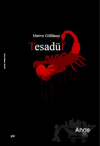 Tesadüf – Merve Gülünay – Ange Yayınları kitap kapağı