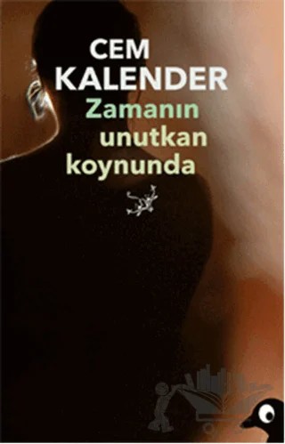 Zamanın Unutkan Koynunda – Cem Kalender – Alakarga Sanat Yayınları kitap kapağı