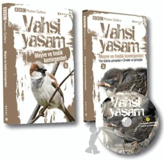 Vahşi Yaşam 2 - Meyve ve Fındık Kemirgenleri – Kolektif – Boyut Yayın Grubu kitap kapağı