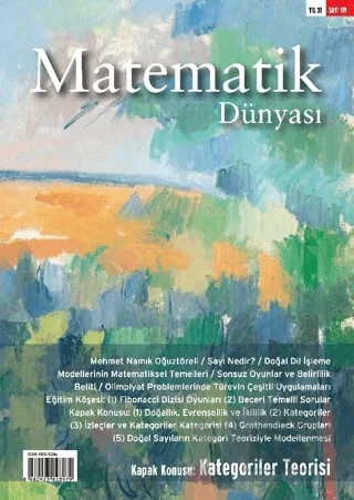 Matematik Dünyası Dergisi Sayı: 119 – Nesin Yayınevi kitap kapağı