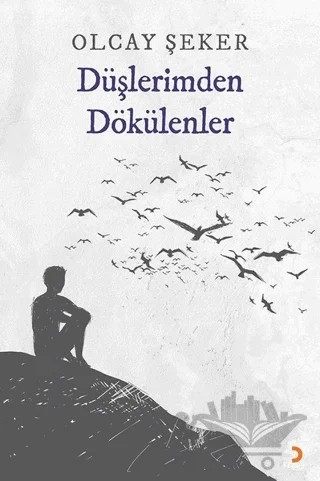 Düşlerimden Dökülenler – Olcay Şeker – Cinius Yayınları kitap kapağı