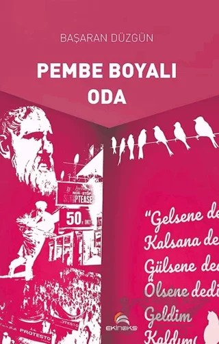 Pembe Boyalı Oda – Başaran Düzgün – Ekinoks Yayın Grubu kitap kapağı