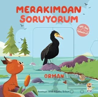 Merakımdan Soruyorum - Orman – Kolektif – Sincap Kitap kitap kapağı