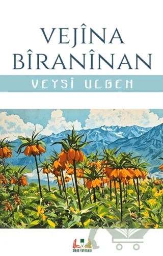 Vejina Biraninan – Veysi Ülgen – Sidar Yayınları kitap kapağı